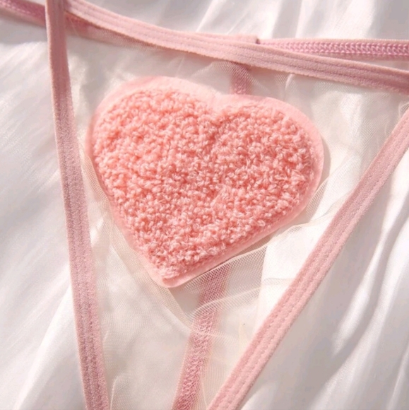 NWOT Pink Pastel Heart Sheer Panty Bra Lingerie Sexy G-string - Picture 2 of 5